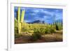 Organ Pipe Cactus National Monument, Ajo Mountain Drive in the Desert-Richard Wright-Framed Photographic Print