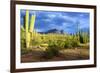 Organ Pipe Cactus National Monument, Ajo Mountain Drive in the Desert-Richard Wright-Framed Photographic Print