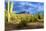 Organ Pipe Cactus National Monument, Ajo Mountain Drive in the Desert-Richard Wright-Mounted Photographic Print