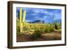 Organ Pipe Cactus National Monument, Ajo Mountain Drive in the Desert-Richard Wright-Framed Photographic Print