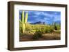 Organ Pipe Cactus National Monument, Ajo Mountain Drive in the Desert-Richard Wright-Framed Photographic Print