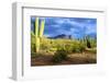 Organ Pipe Cactus National Monument, Ajo Mountain Drive in the Desert-Richard Wright-Framed Photographic Print