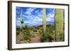 Organ Pipe Cactus National Monument, Ajo Mountain Drive in the Desert-Richard Wright-Framed Photographic Print