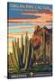 Organ Pipe Cactus National Monument, Arizona-Lantern Press-Stretched Canvas