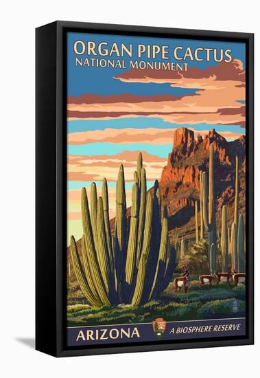 Organ Pipe Cactus National Monument, Arizona-Lantern Press-Framed Stretched Canvas