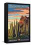 Organ Pipe Cactus National Monument, Arizona-Lantern Press-Framed Stretched Canvas
