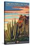 Organ Pipe Cactus National Monument, Arizona-Lantern Press-Stretched Canvas