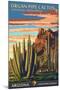 Organ Pipe Cactus National Monument, Arizona-Lantern Press-Mounted Art Print