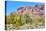 Organ Pipe Cactus National Monument-Anton Foltin-Stretched Canvas