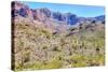 Organ Pipe Cactus National Monument-Anton Foltin-Stretched Canvas