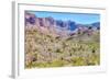 Organ Pipe Cactus National Monument-Anton Foltin-Framed Photographic Print