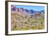 Organ Pipe Cactus National Monument-Anton Foltin-Framed Photographic Print