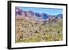 Organ Pipe Cactus National Monument-Anton Foltin-Framed Photographic Print