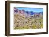 Organ Pipe Cactus National Monument-Anton Foltin-Framed Photographic Print