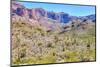 Organ Pipe Cactus National Monument-Anton Foltin-Mounted Photographic Print