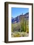 Organ Pipe Cactus National Monument-Anton Foltin-Framed Photographic Print