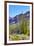 Organ Pipe Cactus National Monument-Anton Foltin-Framed Photographic Print