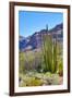 Organ Pipe Cactus National Monument-Anton Foltin-Framed Photographic Print