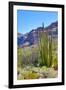 Organ Pipe Cactus National Monument-Anton Foltin-Framed Photographic Print