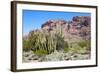 Organ Pipe Cactus National Monument-Anton Foltin-Framed Photographic Print