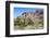 Organ Pipe Cactus National Monument-Anton Foltin-Framed Photographic Print