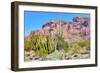 Organ Pipe Cactus National Monument-Anton Foltin-Framed Photographic Print