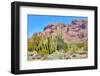 Organ Pipe Cactus National Monument-Anton Foltin-Framed Photographic Print