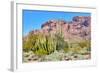 Organ Pipe Cactus National Monument-Anton Foltin-Framed Photographic Print