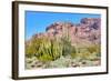 Organ Pipe Cactus National Monument-Anton Foltin-Framed Photographic Print