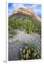 Organ Pipe Cactus NM, Ajo Mountain Drive Winds Through the Desert-Richard Wright-Framed Photographic Print