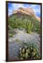 Organ Pipe Cactus NM, Ajo Mountain Drive Winds Through the Desert-Richard Wright-Framed Photographic Print