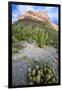 Organ Pipe Cactus NM, Ajo Mountain Drive Winds Through the Desert-Richard Wright-Framed Premium Photographic Print