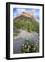 Organ Pipe Cactus NM, Ajo Mountain Drive Winds Through the Desert-Richard Wright-Framed Photographic Print