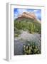 Organ Pipe Cactus NM, Ajo Mountain Drive Winds Through the Desert-Richard Wright-Framed Photographic Print