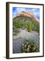 Organ Pipe Cactus NM, Ajo Mountain Drive Winds Through the Desert-Richard Wright-Framed Photographic Print