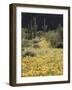 Organ Pipe Cactus Nm, California Poppy and Saguaro in the Ajo Mts-Christopher Talbot Frank-Framed Photographic Print