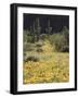 Organ Pipe Cactus Nm, California Poppy and Saguaro in the Ajo Mts-Christopher Talbot Frank-Framed Photographic Print