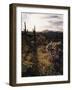 Organ Pipe Cactus Nm, California Poppy, Jumping Cholla, and Saguaro-Christopher Talbot Frank-Framed Photographic Print