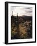 Organ Pipe Cactus Nm, California Poppy, Jumping Cholla, and Saguaro-Christopher Talbot Frank-Framed Photographic Print