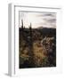 Organ Pipe Cactus Nm, California Poppy, Jumping Cholla, and Saguaro-Christopher Talbot Frank-Framed Photographic Print