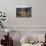 Organ Pipe Cactus Nm, Organ Pipe Cactus and Desert Wildflowers-Christopher Talbot Frank-Photographic Print displayed on a wall