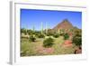 Organ Pipe Cactus NM, Puerto Planco Drive to Quitobaquito Spring-Richard Wright-Framed Photographic Print