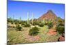 Organ Pipe Cactus NM, Puerto Planco Drive to Quitobaquito Spring-Richard Wright-Mounted Photographic Print