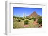 Organ Pipe Cactus NM, Puerto Planco Drive to Quitobaquito Spring-Richard Wright-Framed Photographic Print