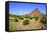 Organ Pipe Cactus NM, Puerto Planco Drive to Quitobaquito Spring-Richard Wright-Framed Stretched Canvas