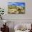 Organ Pipe Cactus NM, Saguaro and Cholla Cactus in the Ajo Mountains-Richard Wright-Photographic Print displayed on a wall