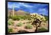 Organ Pipe Cactus NM, Saguaro and Cholla Cactus in the Ajo Mountains-Richard Wright-Framed Photographic Print