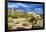 Organ Pipe Cactus NM, Saguaro and Cholla Cactus in the Ajo Mountains-Richard Wright-Framed Photographic Print