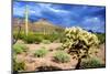 Organ Pipe Cactus NM, Saguaro and Cholla Cactus in the Ajo Mountains-Richard Wright-Mounted Photographic Print