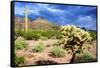 Organ Pipe Cactus NM, Saguaro and Cholla Cactus in the Ajo Mountains-Richard Wright-Framed Stretched Canvas